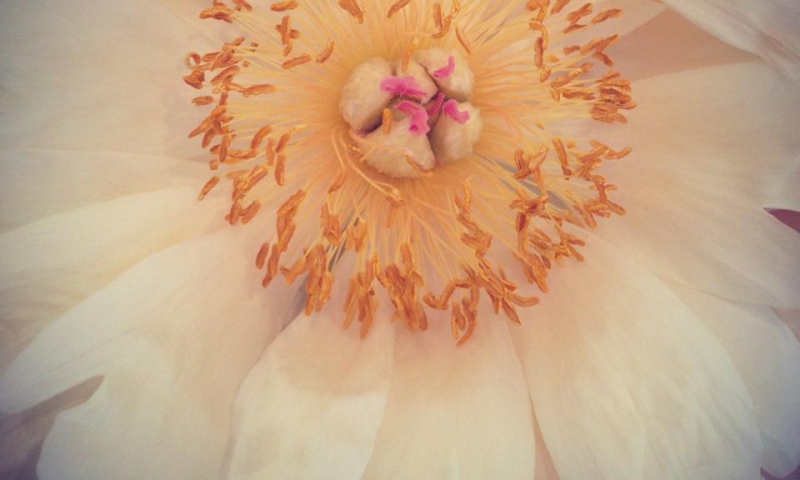 Summer Windows 2014 – seasonal window dressing