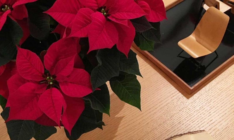 Instore Xmas Inspiration