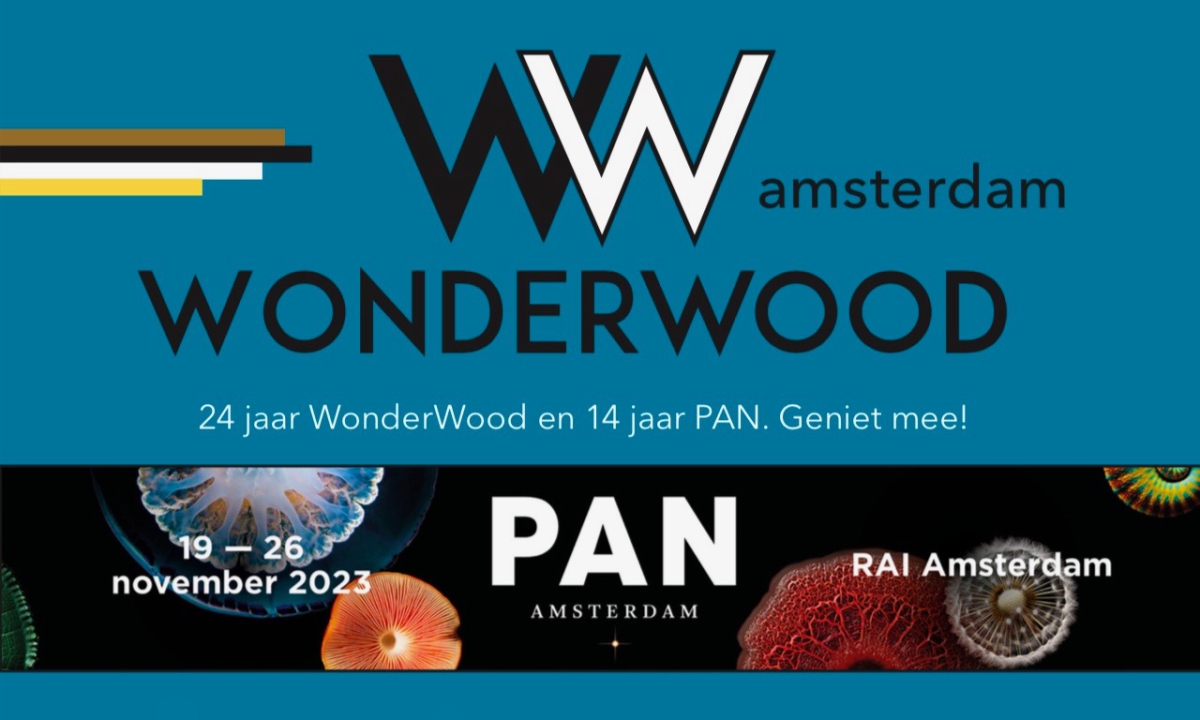 Wonderwood at PAN 2023: ‘Nothing is whiter than the memory of whiteness’